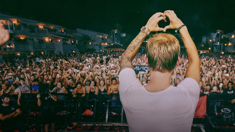 Avicii - My Last Show screenshot 1