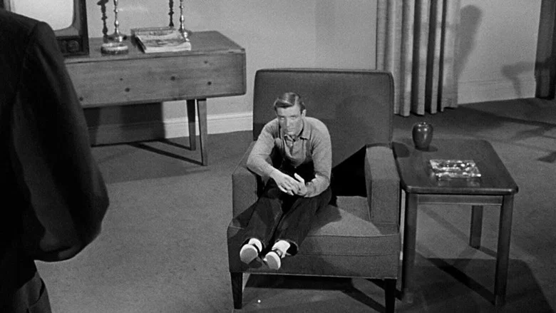The Incredible Shrinking Man screenshot 8