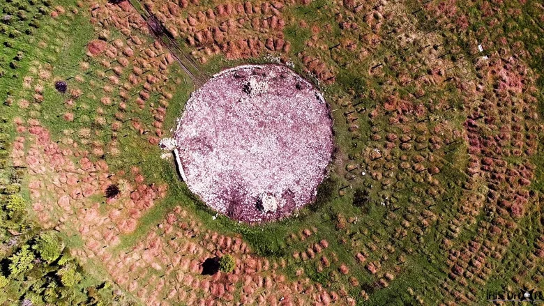 Sad Hill Unearthed screenshot 2