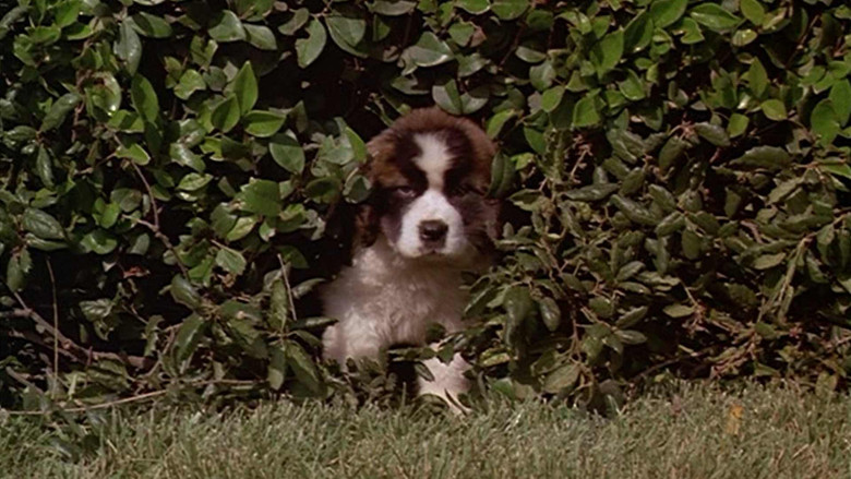Beethoven screenshot 7