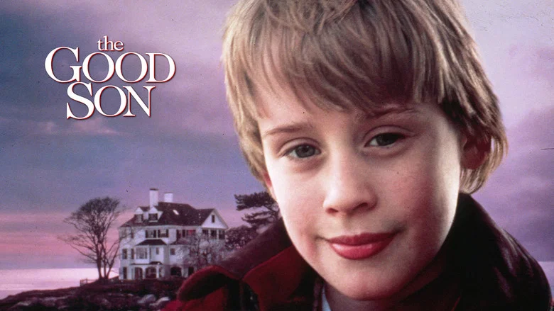 The Good Son screenshot 2