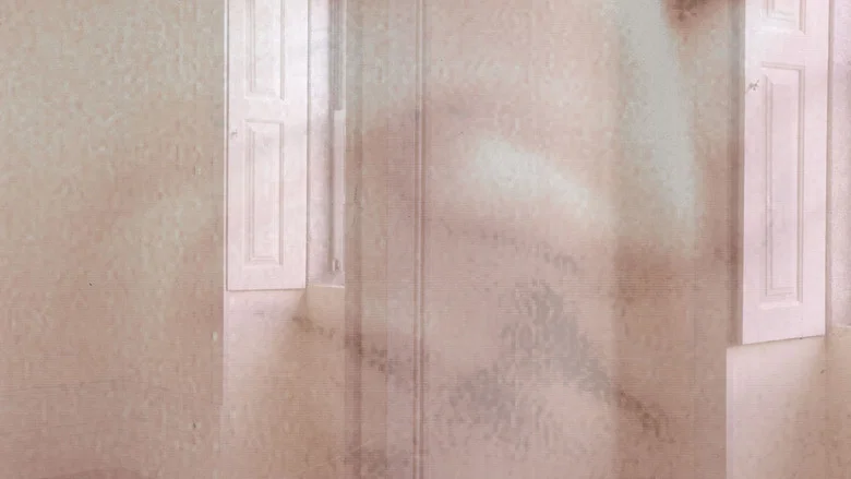 Faces from Home screenshot 2