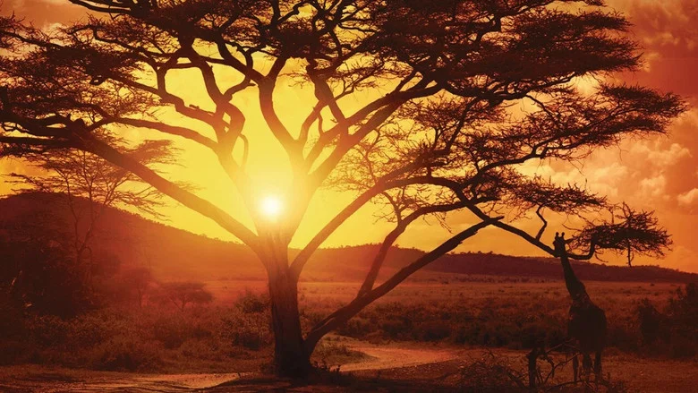 Nowhere in Africa screenshot 3