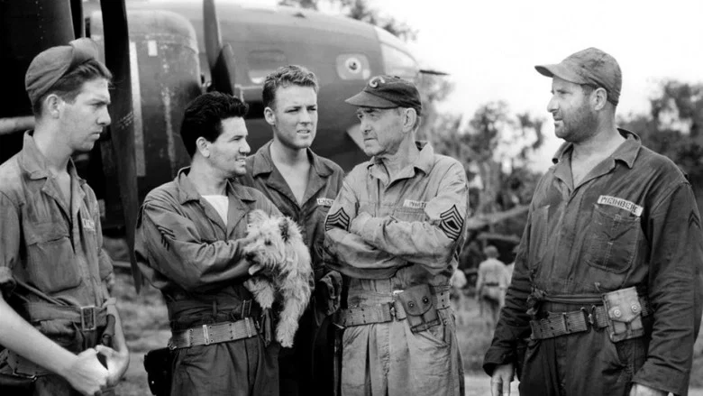 Air Force screenshot 2