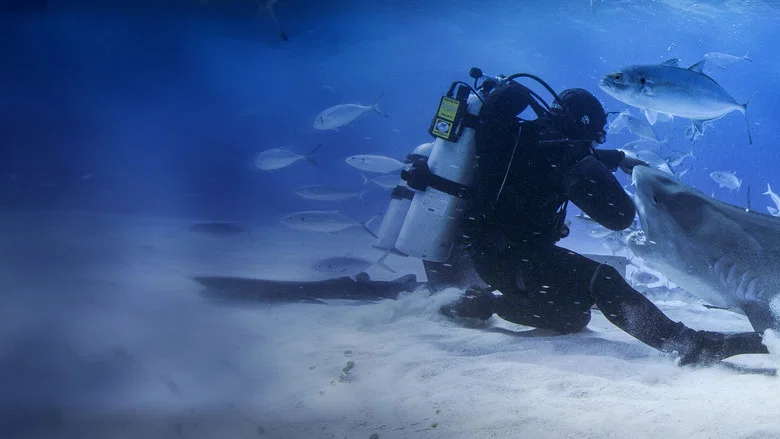Man vs. Shark screenshot 2