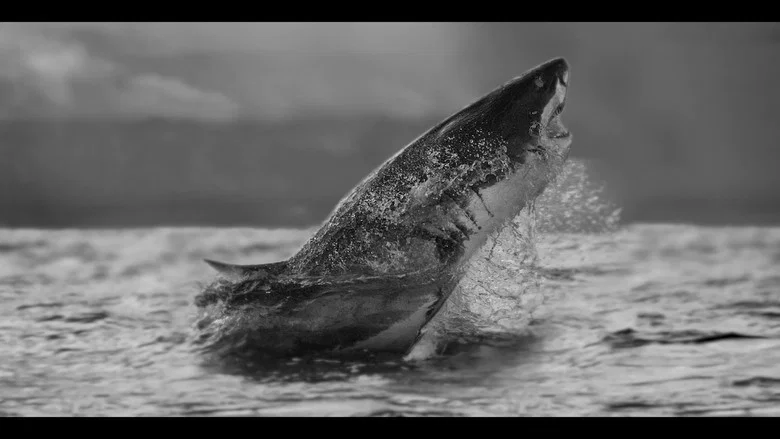Air Jaws Strikes Back screenshot 1