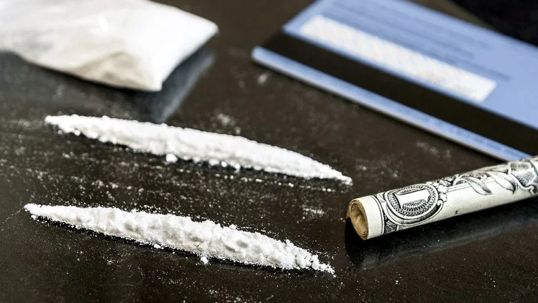 Cocaine: History Between the Lines screenshot 1