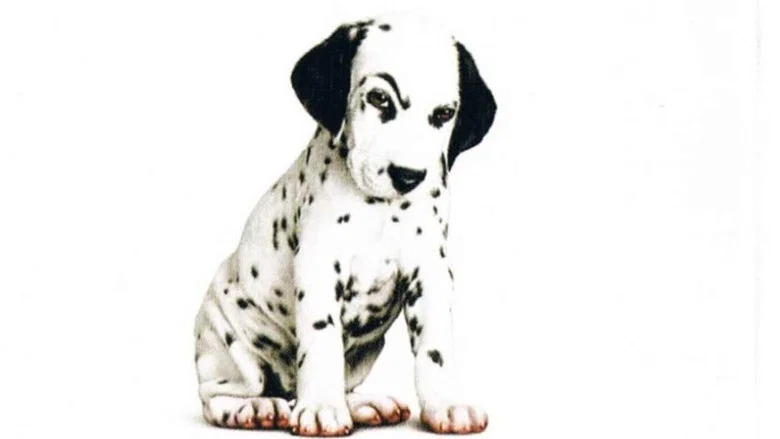102 Dalmatians screenshot 7