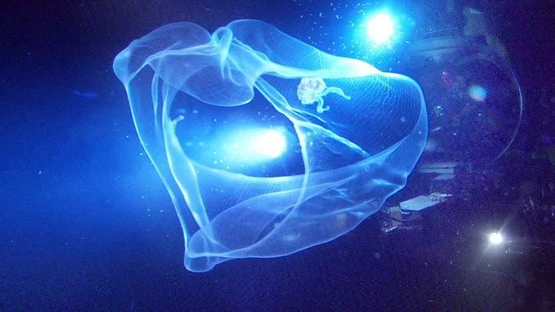 Aliens of the Deep screenshot 1