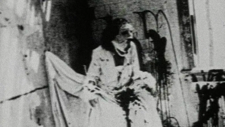 Begotten screenshot 1