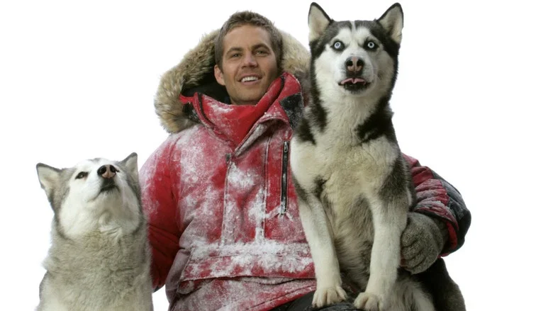Eight Below screenshot 7