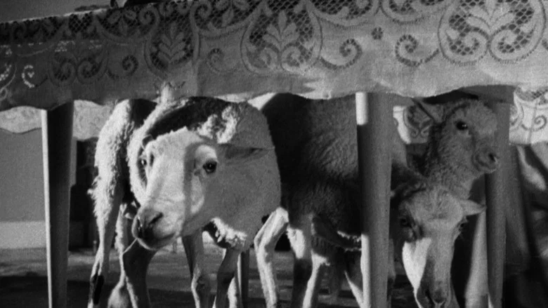 The Exterminating Angel screenshot 3