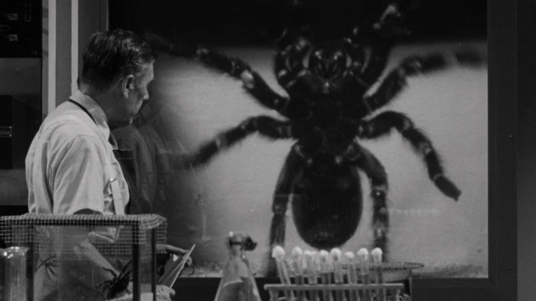 Tarantula screenshot 7