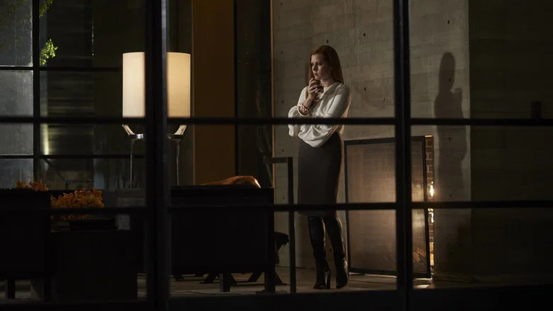 Nocturnal Animals screenshot 6