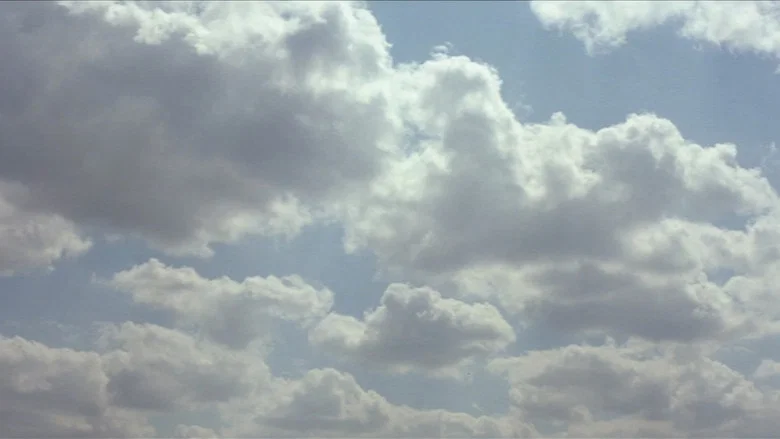The Straight Story screenshot 4
