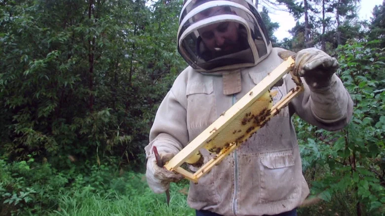 The Bearded Beekeeper screenshot 1