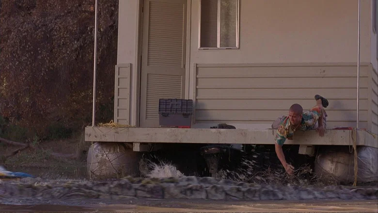 Crocodile screenshot 6