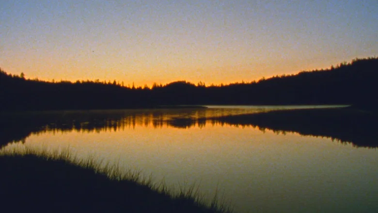 Jasper Beach and The Salt Marsh screenshot 2