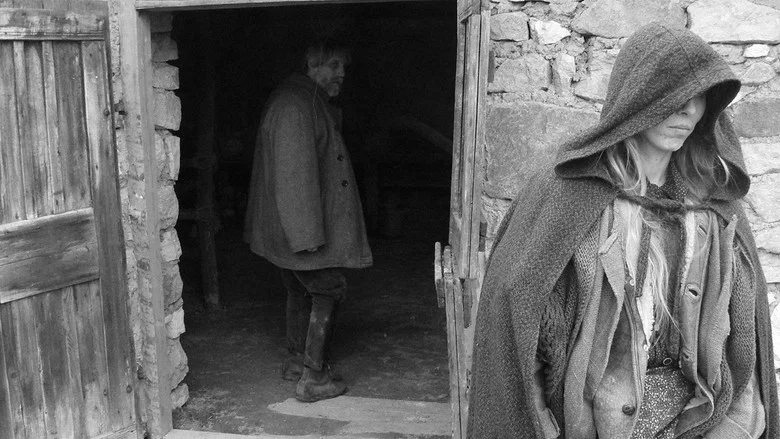 The Turin Horse screenshot 6