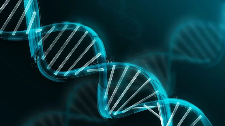 Lieven Scheire: DNA screenshot 4