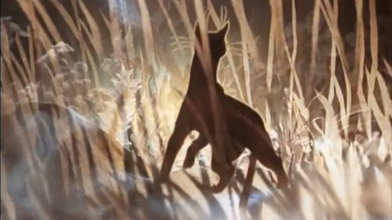 The Cat Who Walked by Herself screenshot 1