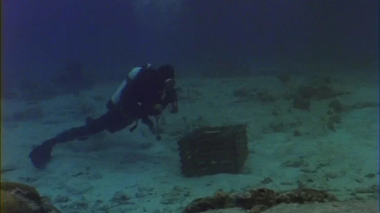 Barracuda screenshot 4