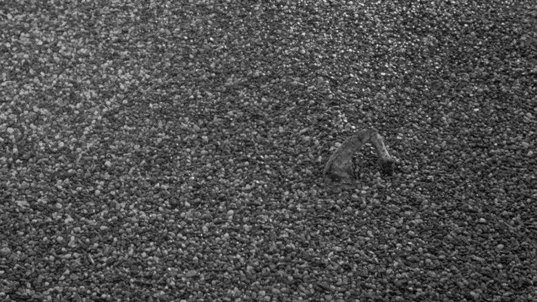 Black Gravel screenshot 6