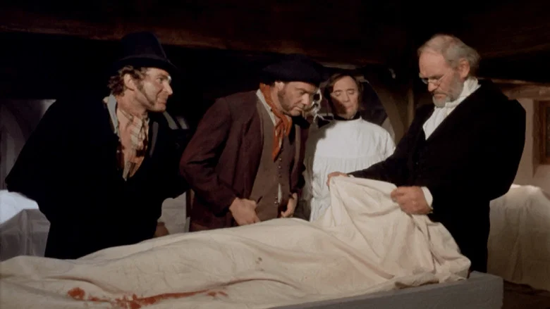 Burke & Hare screenshot 1