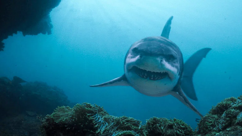 Deep Blue Sea 3 screenshot 7