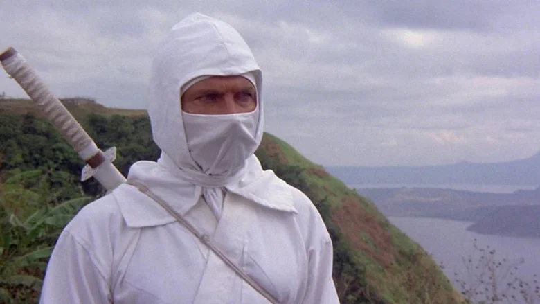 Enter the Ninja screenshot 7