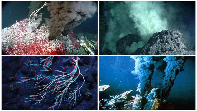 Volcanoes of the Deep Sea screenshot 1