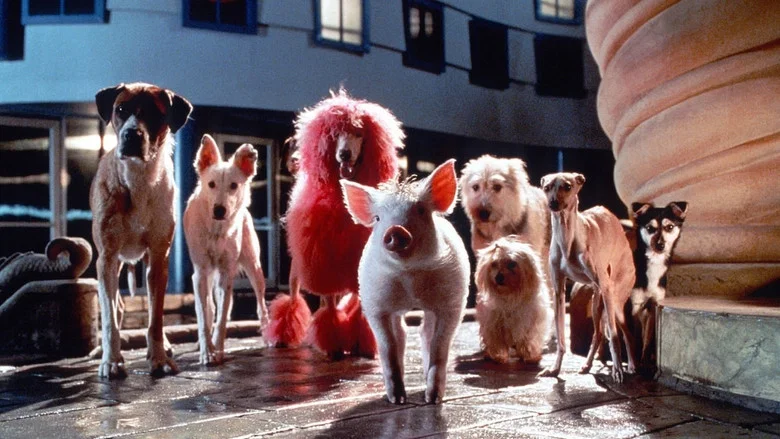 Babe: Pig in the City screenshot 4