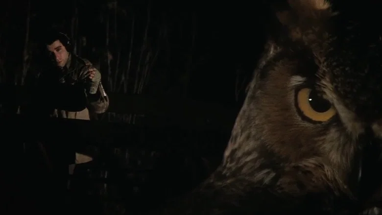 Blow Out screenshot 7