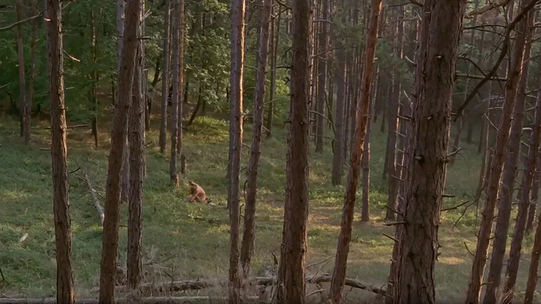 Citizen X screenshot 8