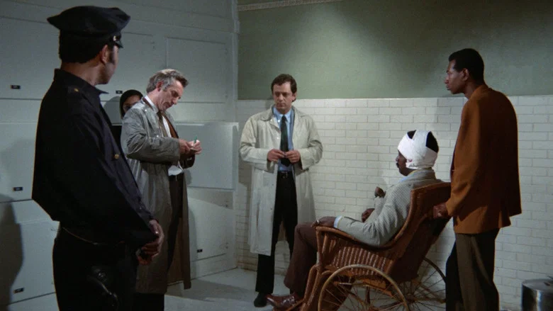 Sweet Sweetback's Baadasssss Song screenshot 7