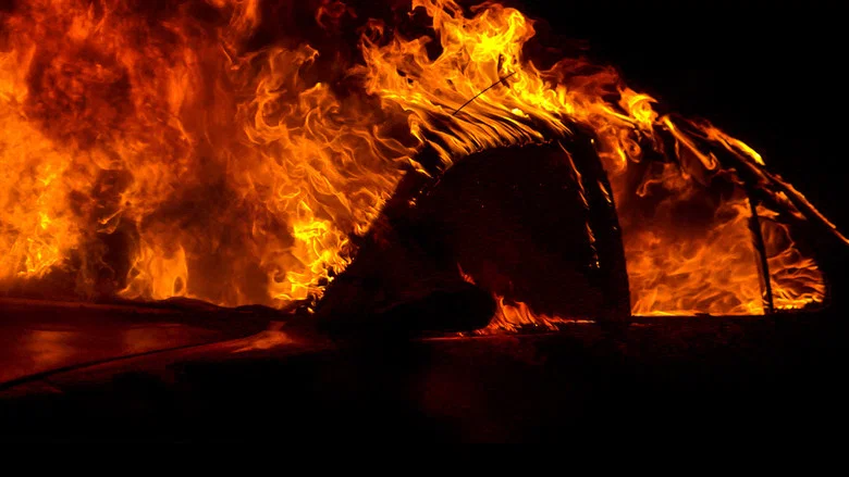 Fire in Paradise screenshot 1
