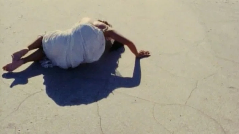 The White Funeral screenshot 3