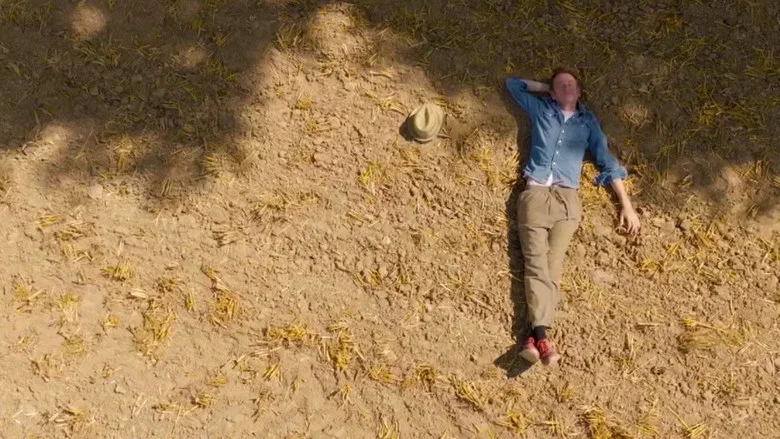 Chêne de vie : l'amour aux temps du cancer screenshot 1