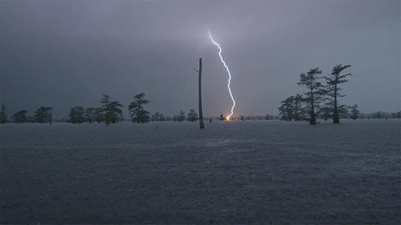 2017, The Disaster Diaries screenshot 1