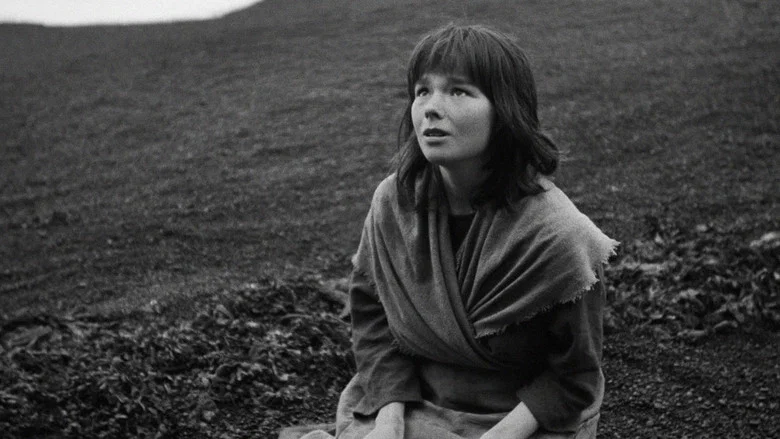 The Juniper Tree screenshot 6