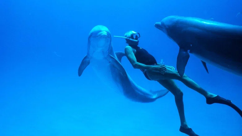 Dolphin Man screenshot 5