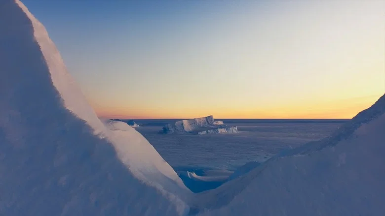 Antarctica screenshot 1