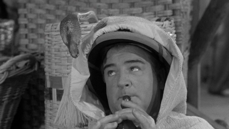 Abbott and Costello Meet the Mummy screenshot 6