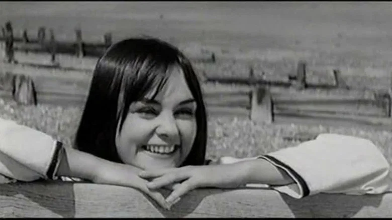 French Dressing screenshot 6