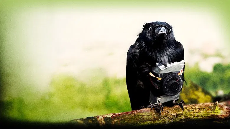 Four Lions screenshot 1