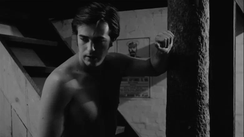 The Set screenshot 2