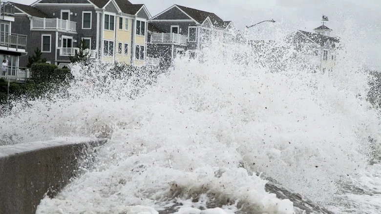 Tsunamis: Facing a Global Threat screenshot 1