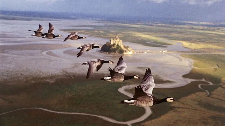 Winged Migration screenshot 1