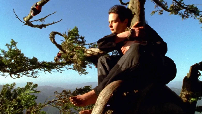 Butterfly screenshot 1