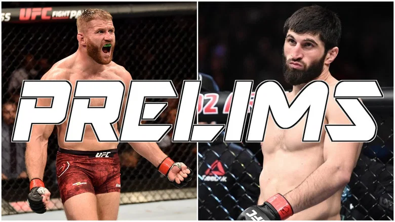 UFC 282: Blachowicz vs. Ankalaev screenshot 5